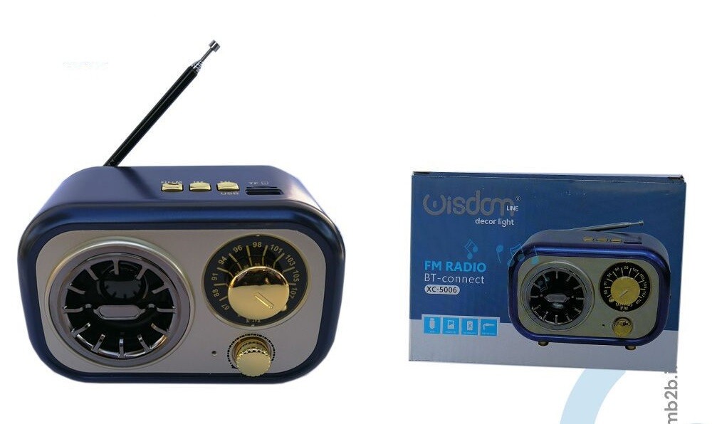 Radio Fm Portatile Con Antenna Speaker Bluetooth Microsd Usb Xc-5006 wis