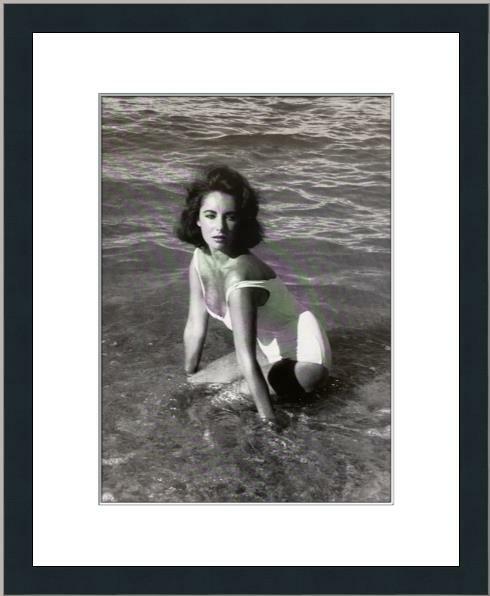 ELIZABETH TAYLOR    絵 ELIZABETH TAYLOR (A4) - Pascale Garlinge Art