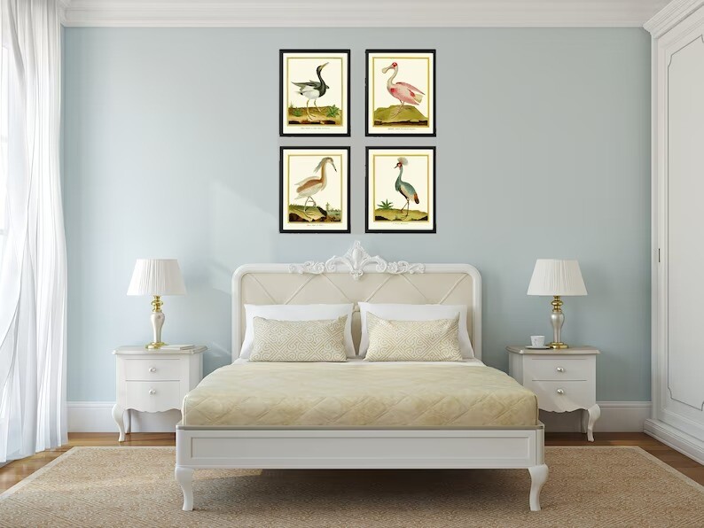 Bird Wall Art Print Set of 4 Prints Beautiful Antique Great Blue Heron Unframed