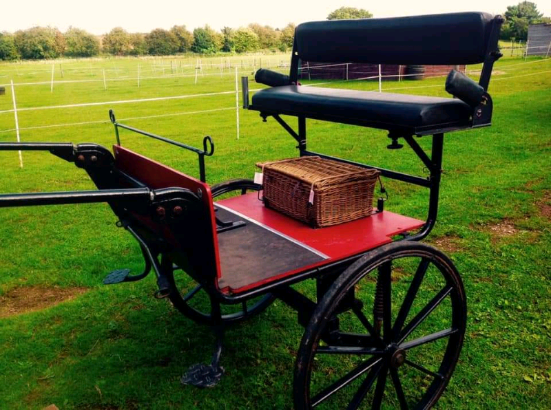 Pony Cart for sale in UK 40 secondhand Pony Carts
