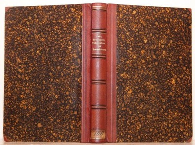 Die Meningitis Tuberculosa der Erwachsenen. Seitz, Johannes: