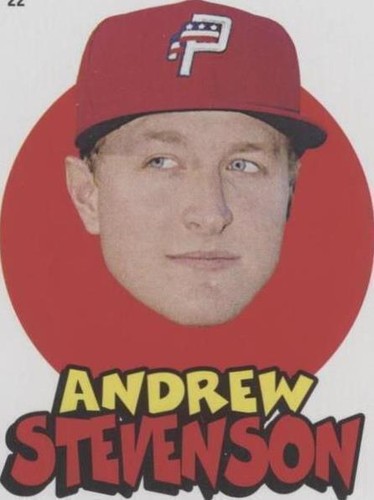2016 Topps Heritage Minor League Edition - Andrew Stevenson #22