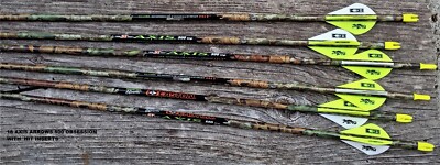 AXIS OBSESSIONS EASTON  SIZE 500 1/2 DZ ARROWS FULL LENGTH 31 1/4 CUT FREE