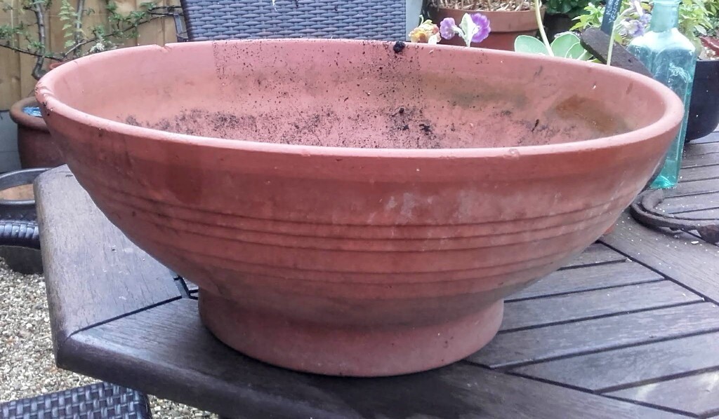 Large terracotta bowl planter in Ilminster, Somerset