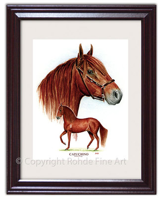 CAPUCHINO - FAMOUS PASO FINO stallion FRAMED HORSE ART signed Rohde NICE!