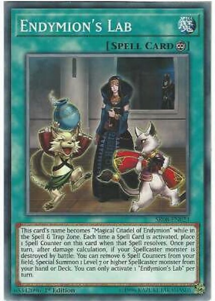 Yu-Gi-Oh! Endymion’s Lab - SR08-EN023 - Common Card - 1st Edition 