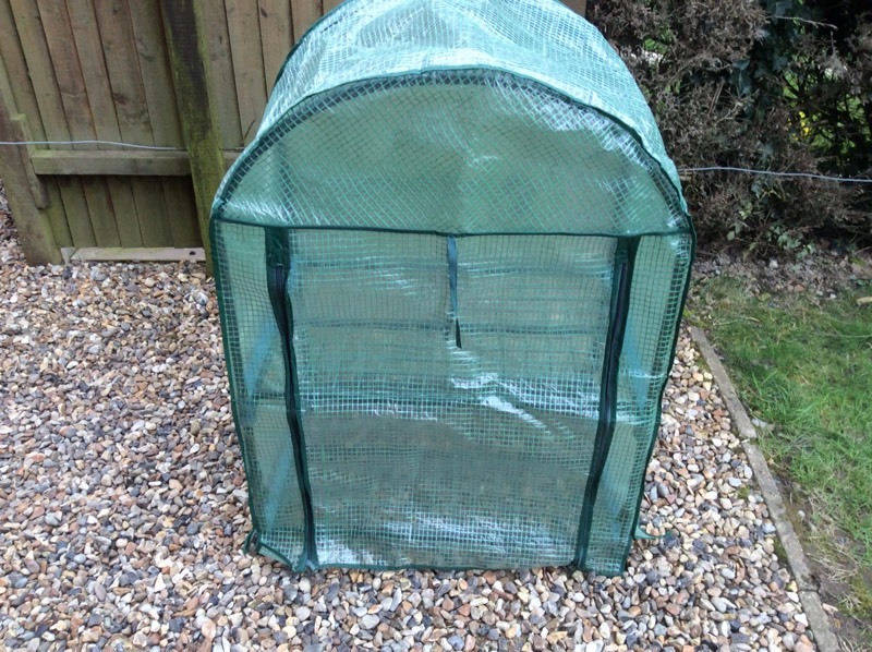 Plastic Greenhouse - small | in Norwich, Norfolk | Gumtree