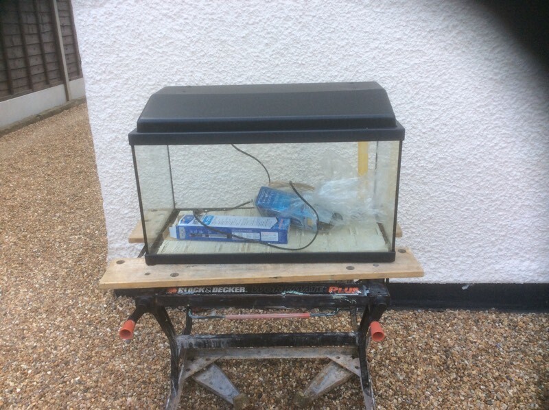 Rena 2FT complete tropical aquarium fish tank set up in Westcliffon