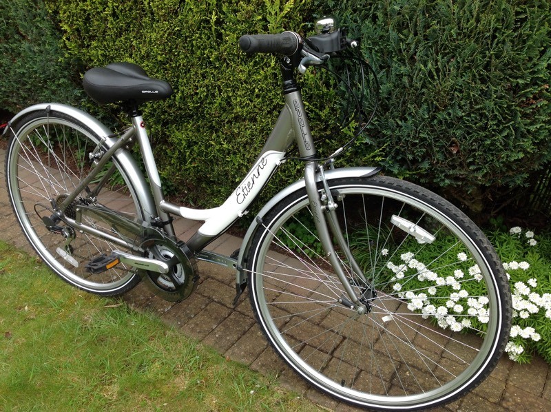 etienne ladies bike