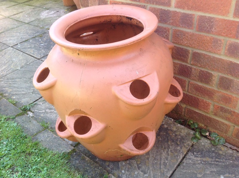 Large plastic Strawberry Planter. | in Woodbridge, Suffolk | Gumtree