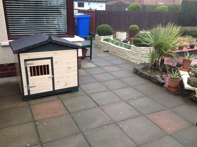 Medium size dog kennel in Finaghy, Belfast Gumtree