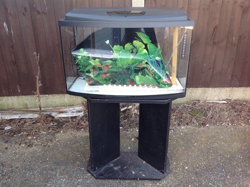 Fish tank and stand 30 inches long in Rochford, Essex Gumtree