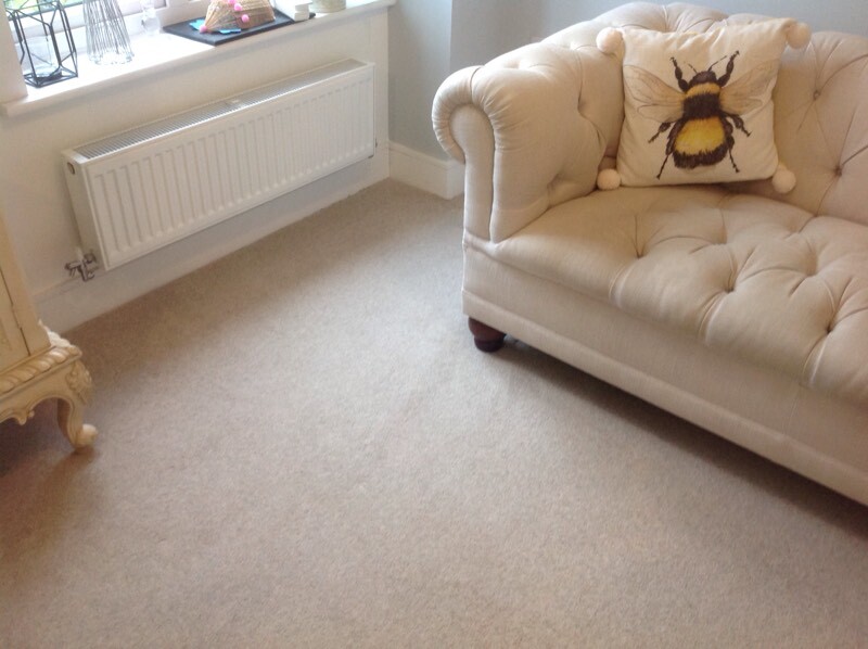 Good quality carpet and underlay in Frome, Somerset Gumtree