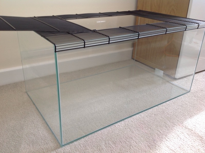 Spacious Glass Hamster Cage or Gerbilarium in Bletchley, Buckinghamshire Gumtree