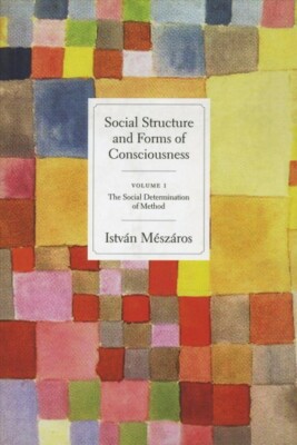 Social Structure and Forms of Conciousness : The Dialectic of Structure and H...