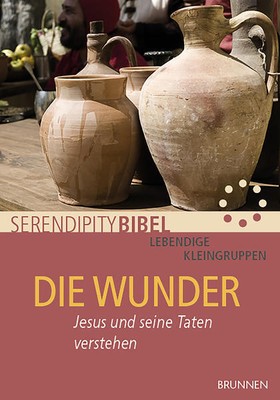 Die Wunder | Serendipity bibel | 2017 | deutsch