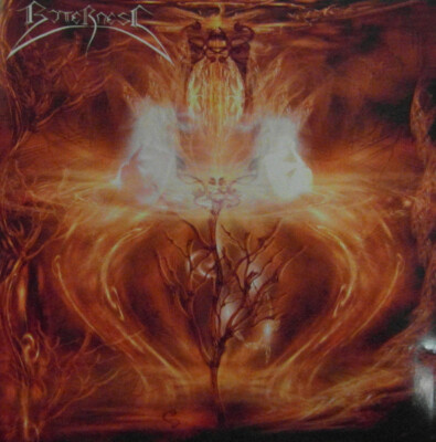 Bitterness - Autumn's Fall | CD