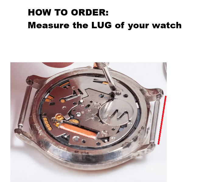 6pcs 1.5mm Width Stainless Steel Watch Spring Bar Pin