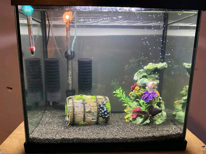 45L 1.5ft Cold water Fish Tank