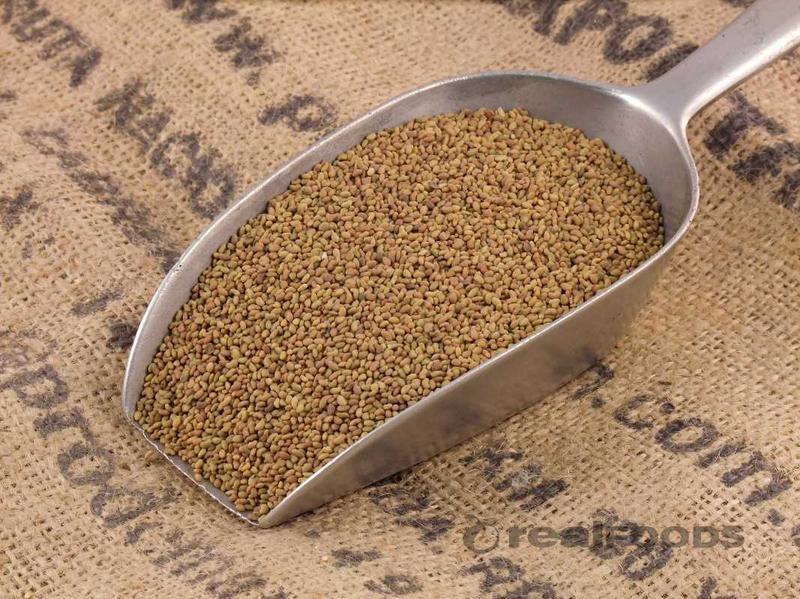 Sprouting Seeds Certified (NON-GMO) Organic Alfalfa Seeds
