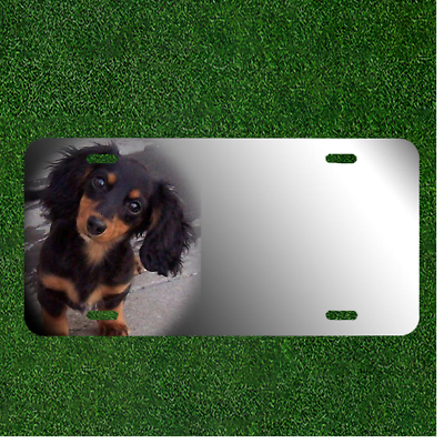 Custom Personalized License Plate Auto Tag With Dachshund Dog