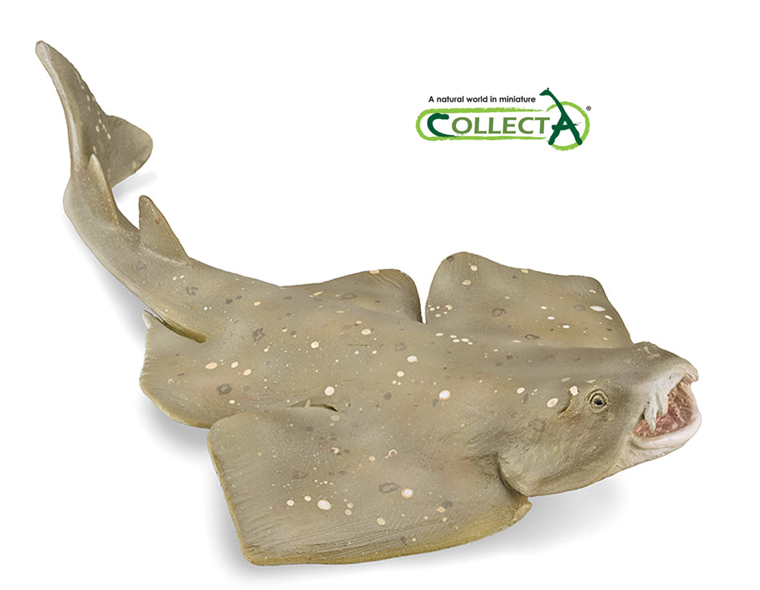 Angel Shark Marine Sealife Toy Model Figure by CollectA 88999 New