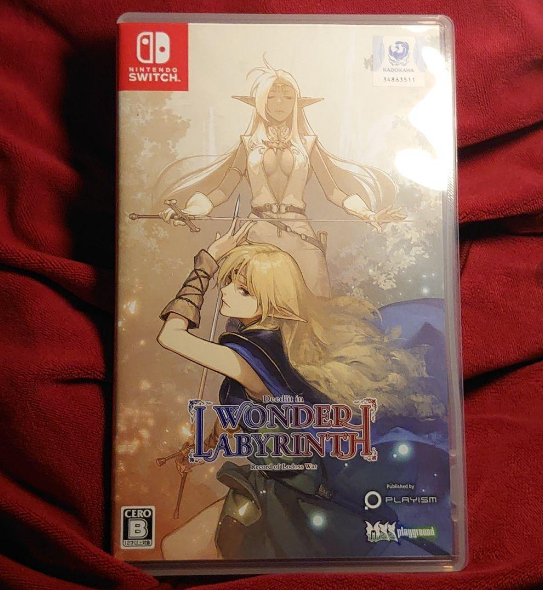 Nintendo Switch WONDER LABYRINTH: Nintendo Switch Record of Lodoss War-Deedlit in Wonder Labyrinth- for