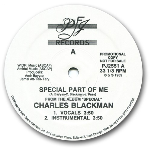 Charles-Blackman-Special-Part-Of-Me-MINT-1989-Promo-12-on-US-PJ