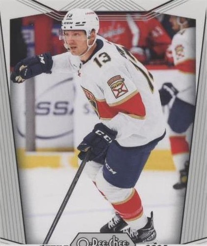 2024-25 O-Pee-Chee - Sam Reinhart #529