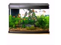 Fish tank/aquarium. Love fish panorama 64 Litres. £90