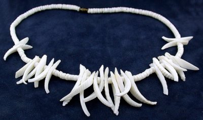 18 Inch White Clamshell Clam Shell Tooth Bead Choker Necklace VERY UNIQUE SB44