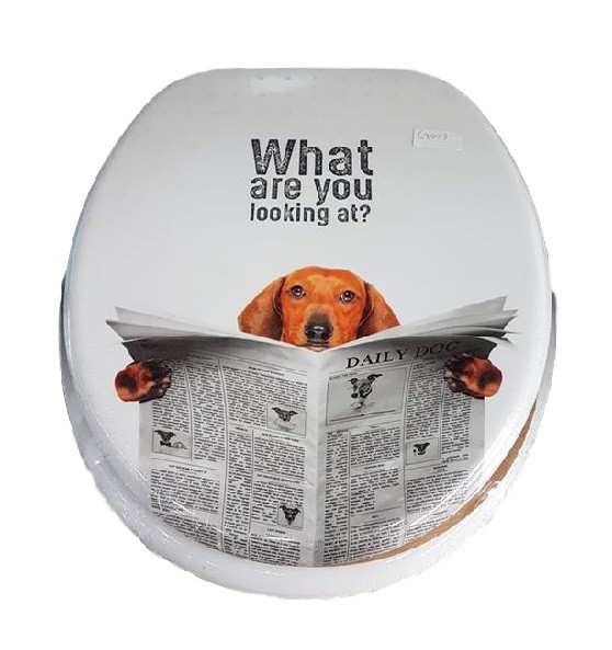 CopriWater Copri Water Sedile WC Bagno Universale Cerniere What Are You Look dfh