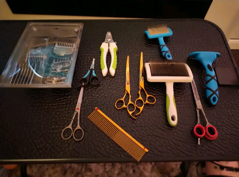 Dog Grooming Equipment for sale in UK View 60 bargains