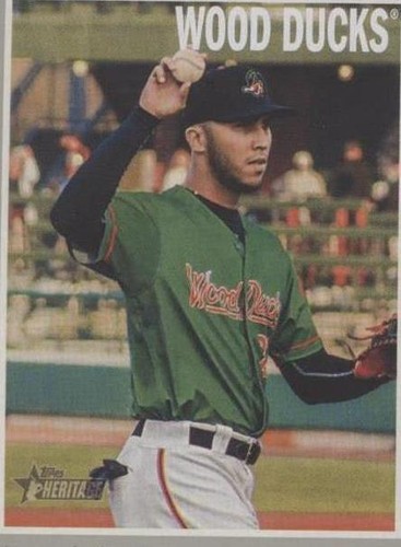 2019 Topps Heritage Minor League Edition - Diosbel Arias #44