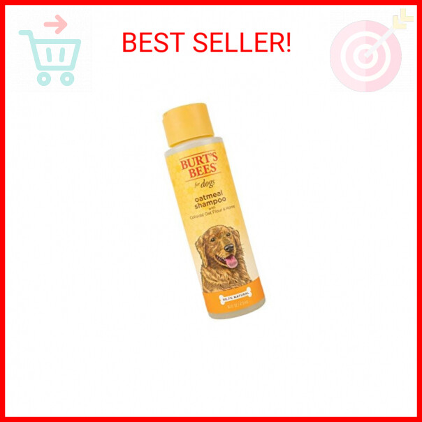 Burt's Bees for Pets Oatmeal Dog Shampoo (16oz) With Colloidal Oat Flour & Honey