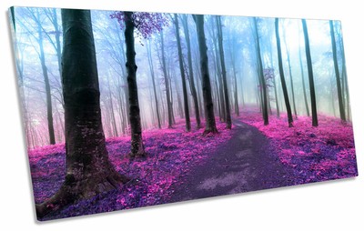 Purple Forest Misty Print PANORAMIC CANVAS WALL ART Picture