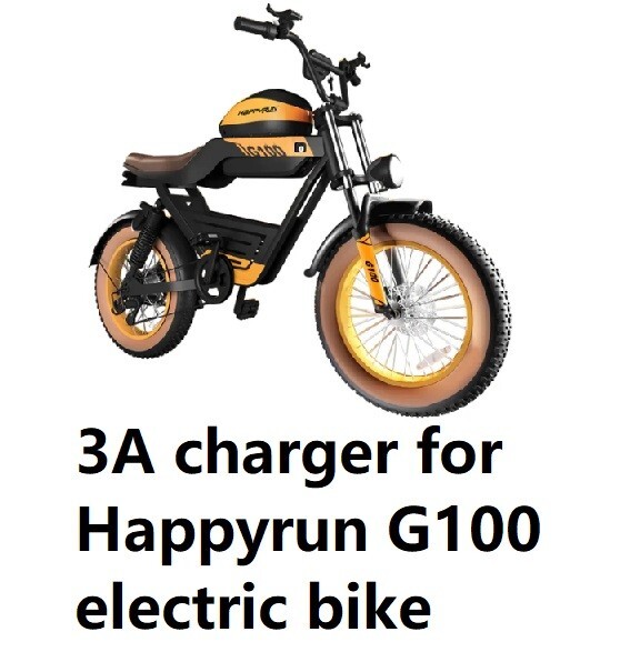 🔥3A power supply battery Charger for happyrun g100 48v electric