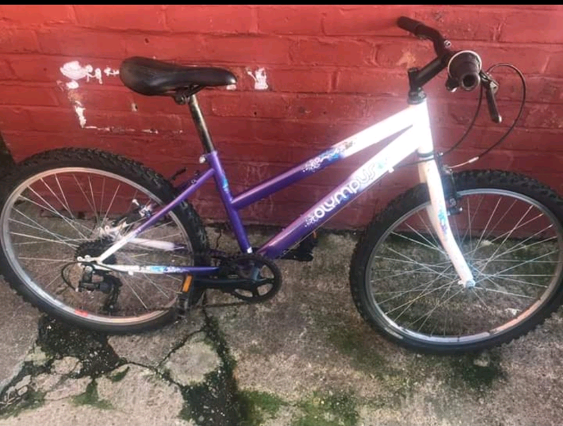 olympus sport tornado spin bike