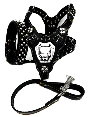 Gladiator hot sale dog collar