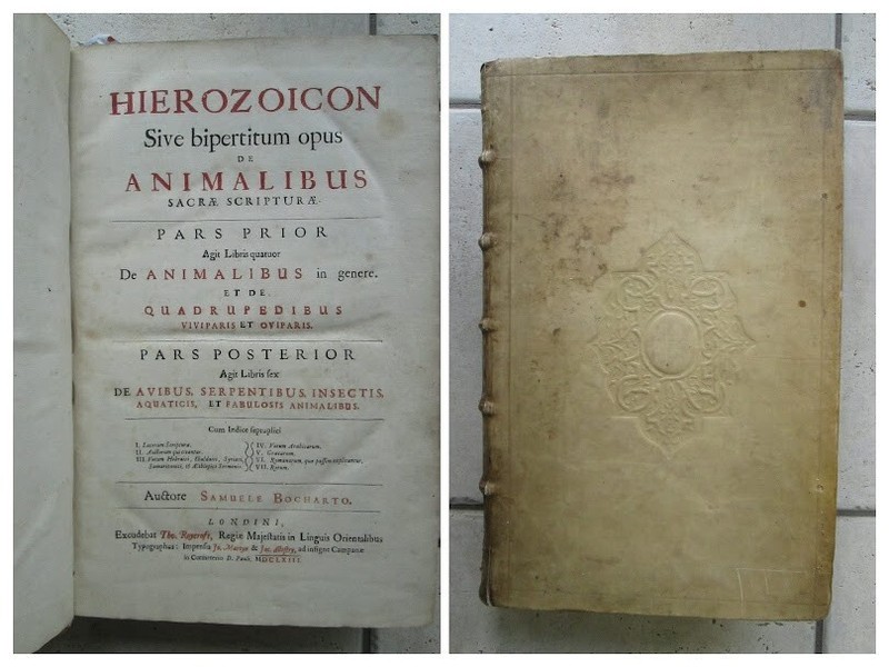 Bochart : Hierozoicon Sive De Animalibus. Londres, 1663. Tome 1, Fig. Licornes.
