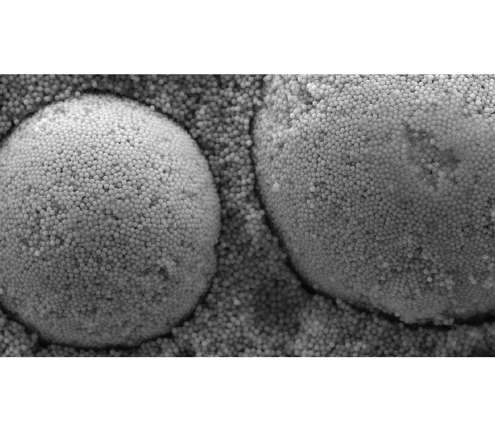 Tokuyama Omnichroma Flow Bulk Flowable Restorative Composite 3gm Syringe