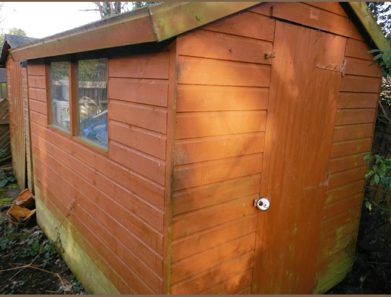 Garden Shed 8ft x 6ft in Burnham-on-Crouch, Essex Gumtree