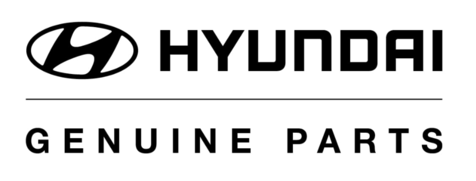 Hyundai parts. 00. упаковка деталей hyundai для внутреннего. Genuine запчасти лого. Hyundai parts.