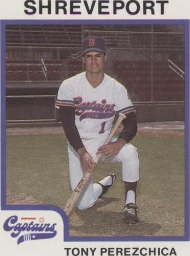 1987 ProCards Minor League - Tony Perezchica #463