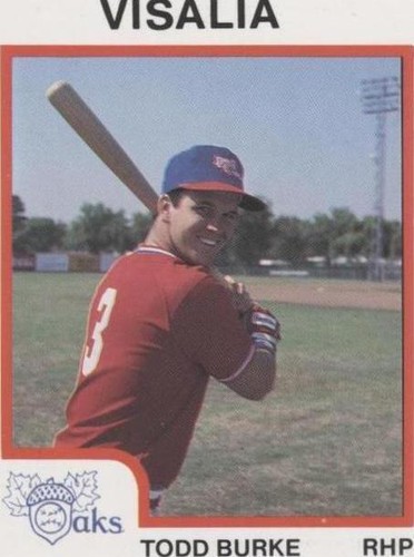 1987 ProCards Minor League - Todd Burke #560