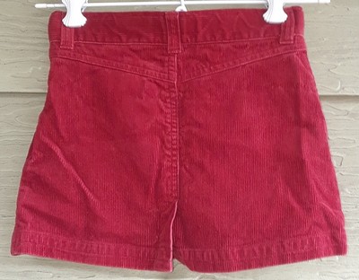 Gymboree Harvest Leaves Girls 4 Burnt Orange Floral CORDUROY SKORT