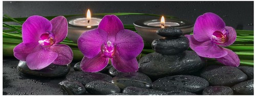 Glasbild 80x30cm Wandbild aus Glas rosa Orchideen Steine Wellness Deko