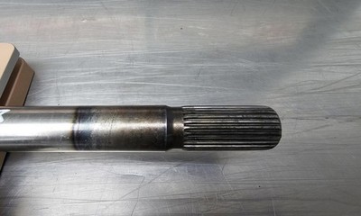 Picture 3
