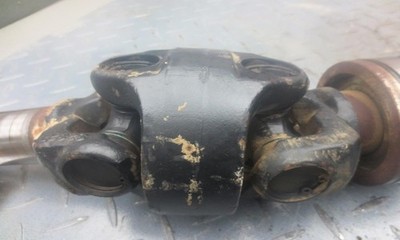 Picture 3