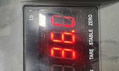 Picture 3